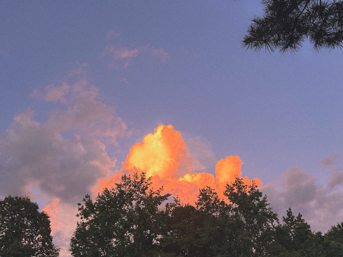 the room without walls you forgot about